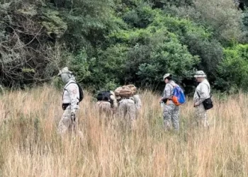 «Escuché gritos de un nene llamando a la madre»: la jueza del Caso Loan encabezó por primera vez un procedimiento en el campo