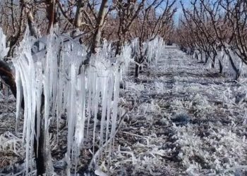 Frío polar: qué es la peligrosa helada negra que afecta a toda la Argentina, según una experta del SMN