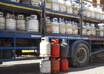 Cuál es la situación del sector de Gas Licuado de Petróleo y qué se espera con la Ley de Bases