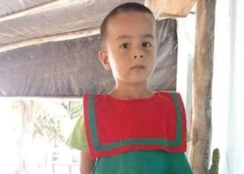 Reconstruyeron el perfil de ADN de Loan: por qué se trata de un avance clave para la investigación