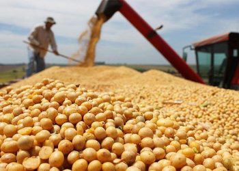 La actividad muestra un poco de recuperación por el campo, pero la industria acelera la caída en medio de la recesión