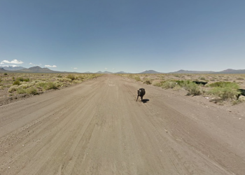 Vuelve a escena el proyecto para pavimentar la Ruta 180 entre El Nihuil y Neuquén