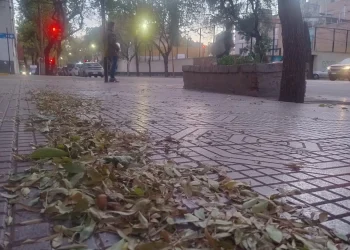 Alerta por Zonda en Mendoza: estas son las zonas afectadas