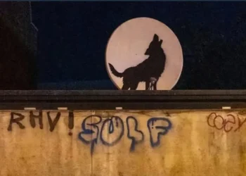 Apareció una nueva obra de Bansky: se la robaron un par de horas más tarde