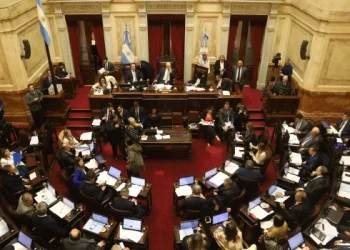 El Senado aprobó debatir en la próxima sesión el aumento del presupuesto universitario