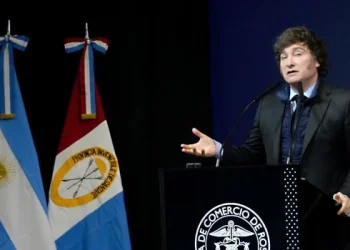 Milei: «El día que cerremos los problemas de stocks, el cepo será historia»