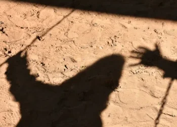 Advierten por 30.000 pedófilos que atacan en diversas zonas de la Argentina