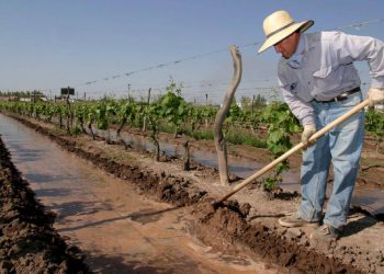 Fondo Compensador Agrícola 2024/25: extienden las inscripciones hasta el 30 de agosto