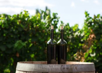 Arrancó el CyberWine: los mejores vinos que podés comprar a menos de $10.000