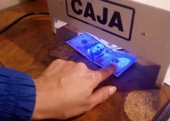 Dólares: el paso a paso para saber si los billetes son falsos
