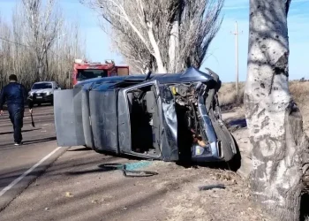 Reglamentaron la ley que obliga a los conductores ebrios que choquen a pagar sus gastos hospitalarios