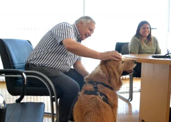 El Ministerio Público Fiscal investigará las irregularidades en su programa canino