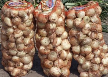 El precio de la cebolla fue el que más subió en julio