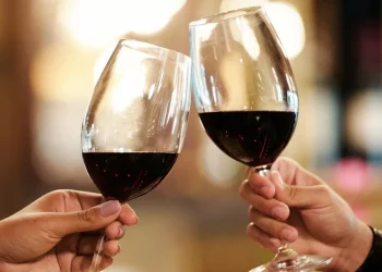 Encuesta para desmitificar: ¿los mendocinos prefieren vino en las salidas o juntadas con amigos?