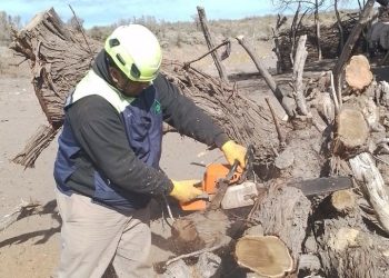 El equipo de Defensa Civil de San Rafael estuvo trabajando en Trintrica