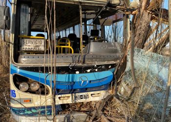 Colectivo chocó con árboles en Bowen: nueve niños lesionados