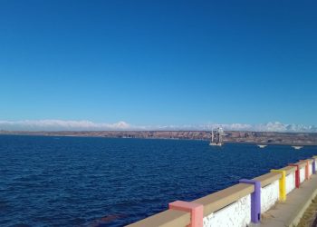 La planificación hídrica y la dimensión ambiental en el anteproyecto del Código de Aguas para la provincia de Mendoza