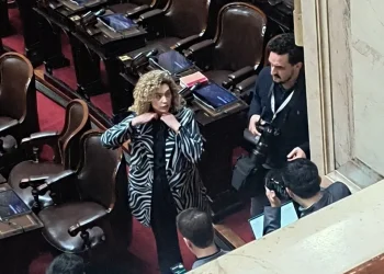 Lourdes Arrieta denunció a otro diputado de La Libertad Avanza por violencia de género