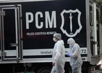 Macabro: encontraron un feto desmembrado por perros en el Este provincial