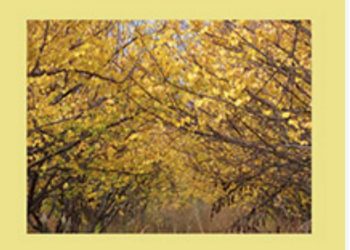 “Así Habla Mendoza”: el escritor Miguel Jiménez presentó su libro que refleja la identidad cuyana