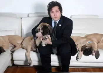 Milei se ofreció a adoptar al perro de Alberto Fernández, Dylan