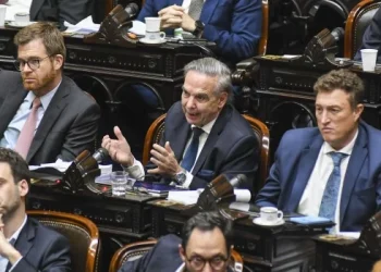 Oficializaron la convocatoria a una sesión de Diputados para derogar el decreto sobre SIDE