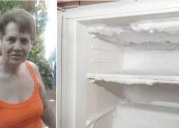 Para cobrar la pensión, escondió el cadáver de su mamá en una heladera: 4 años después lo descubrieron