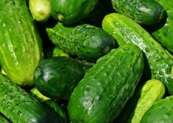 Preocupación por brote de salmonela en Estados Unidos