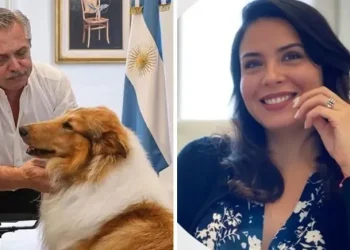 Quién es Cecilia Hermoso González, a quien tildan como otra amante de Alberto Fernández