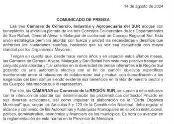 Las cámaras empresarias apoyan la conformación del Concejo Regional del Sur