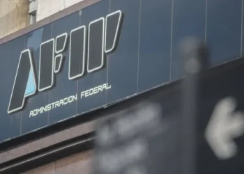 La AFIP descubrió que un monotributista era dueño de un avión y un barco