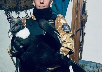 Policía Rural rescató un cóndor en San Rafael