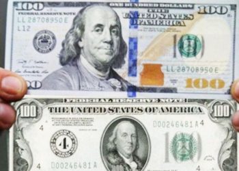 Fundamental: Esta es la diferencia entre el dólar cara chica y el dólar cara grande