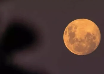 Llega la luna Llena en Esturión: cuándo es y cómo se puede ver desde Argentina