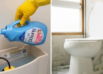 Cómo limpiar y blanquear el baño de forma natural en 10 minutos