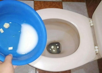 Por qué recomiendan echar sal al inodoro