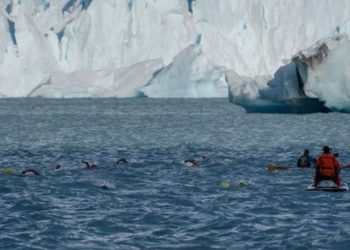 Un hermoso glaciar de la Patagonia será sede de una competencia extrema de natación invernal