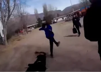 “Lo podrían haber matado”: habló la mamá del chico agredido a la salida de la escuela en Uspallata