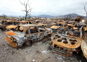 El Gobierno reclama que una aseguradora pague por 13 autos incendiados en la Playa de San Agustín