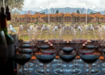 Bodegas de Argentina analizó la compleja situación de los vinos argentinos en los mercados mundiales