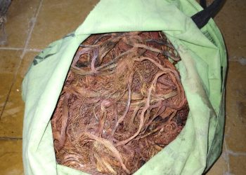 Detienen a un presunto ladrón de cables