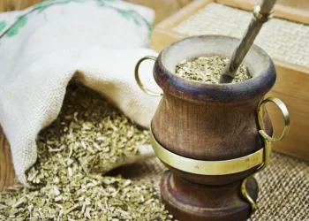 ¿Cuál es la hierba que le podés agregar al mate y que alivia los dolores y reduce el cansancio?
