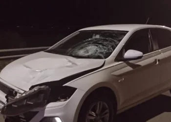 Un delincuente, que huía en un auto robado, atropelló y mató a una empleada del peaje en la autopista Córdoba-Rosario