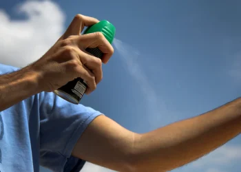 El calor se anticipa en Mendoza: qué pasará con el dengue