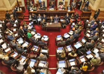 El Senado trata el presupuesto universitario y la boleta única de papel