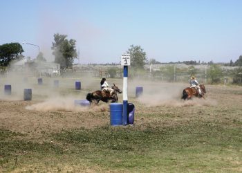 Vuelven las destrezas criollas al predio de la Federación Gaucha