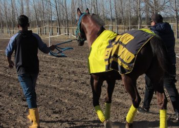 El turf, una disciplina que mueve multitudes en San Rafael