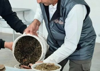 Técnicos del INTA recorren instituciones educativas brindando conocimientos útiles a los estudiantes