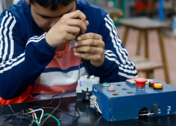 Capacitación laboral para personas con discapacidad: quiénes acceden y cuáles son los oficios elegidos