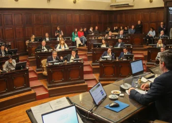 Con polémica, avanza la reforma para las empresas de seguridad privadas en la Legislatura